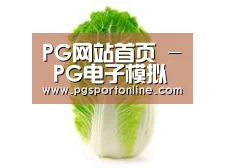 产品名称一
