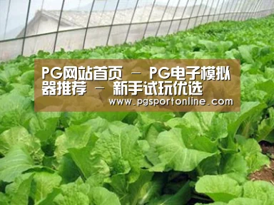 种植基地一