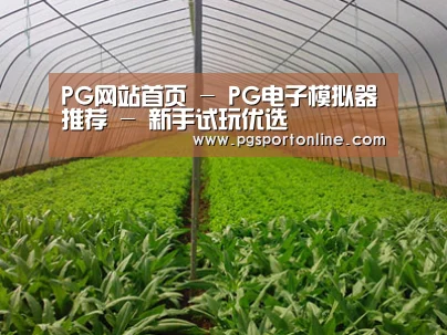 种植基地四
