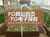 环境展示五