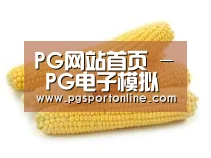 产品名称五