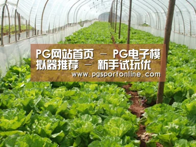 种植基地五
