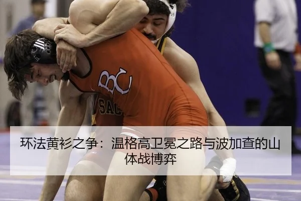 huan-fa-huang-shan-zhi-zheng-wen-ge-gao-wei-mian-zhi-lu-yu-bo-jia-cha-de-shan-ti-zhan-bo-yi-2-195.jpg