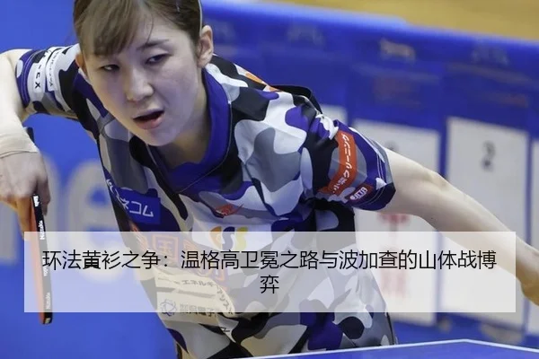 huan-fa-huang-shan-zhi-zheng-wen-ge-gao-wei-mian-zhi-lu-yu-bo-jia-cha-de-shan-ti-zhan-bo-yi-3-668.jpg