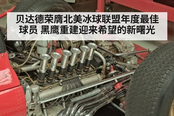 贝达德荣膺北美冰球联盟年度最佳球员 黑鹰重建迎来希望的新曙光