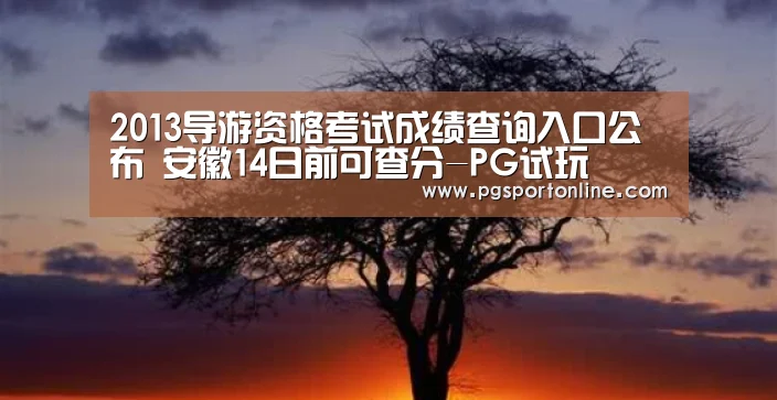 PG试玩